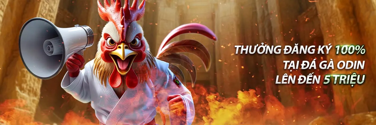 Người đang điền biểu mẫu liên hệ